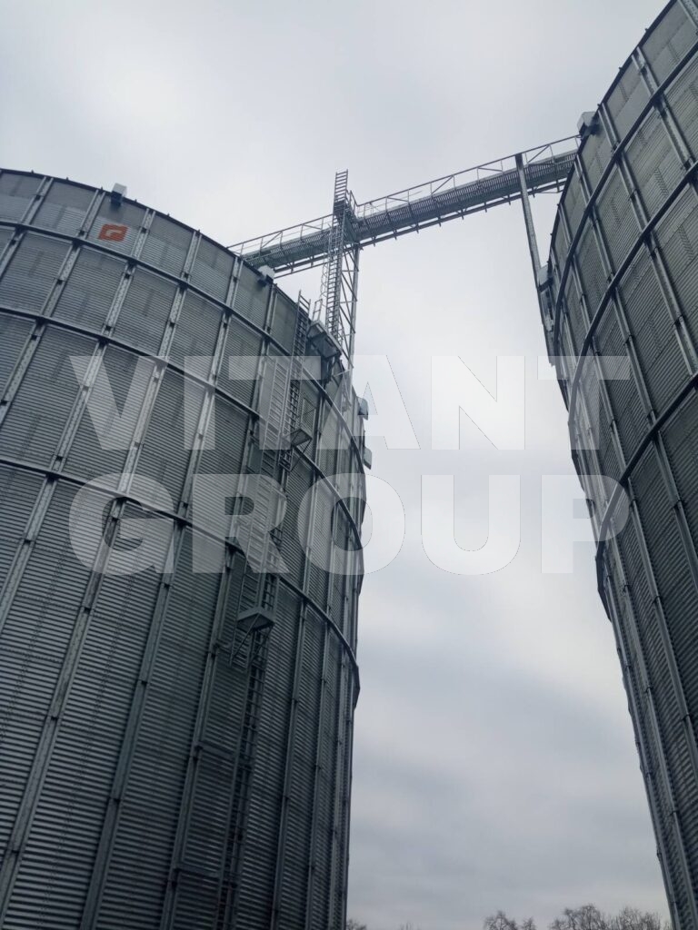 VITANT-GROUP-galereya_html_f19dec79-768x1024